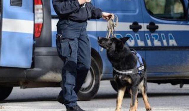 Lentini, cane poliziotto fiuta 300 grammi di marijuana nascosti in una lampada: arrestato un 44enne