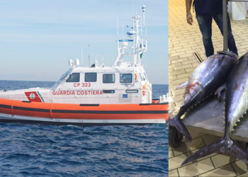 Portopalo. La Guardia Costiera sorprende peschereccio a sbarcare tonno rosso illegalmente