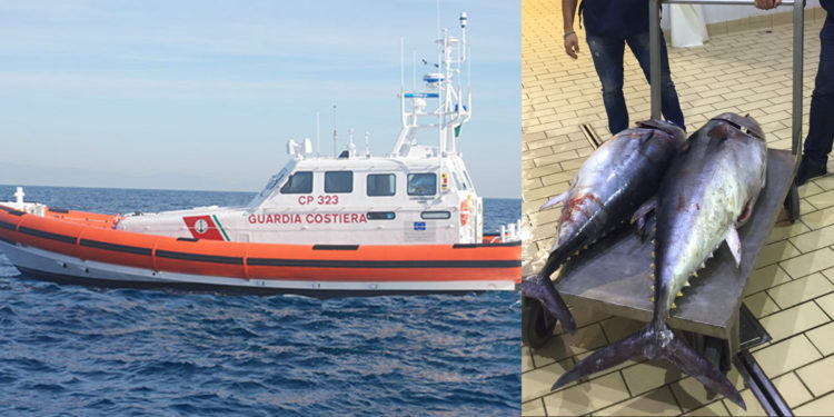 Portopalo. La Guardia Costiera sorprende peschereccio a sbarcare tonno rosso illegalmente