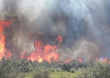 Canicattini Bagni. Prevenzione incendi estivi, emessa ordinanza del Sindaco