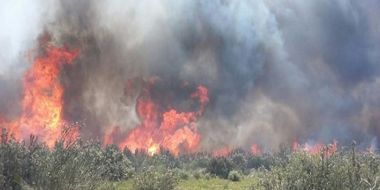 Canicattini Bagni. Prevenzione incendi estivi, emessa ordinanza del Sindaco