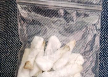 Siracusa, nascoste tra le siepi di piazza San Metodio 10 dosi di cocaina: sequestrate dalla Polizia