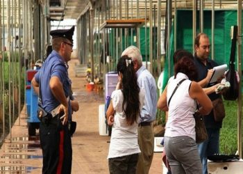 Contrasto al lavoro nero nella Provincia di Siracusa: 75 mila euro di sanzioni e 4 attività sospese