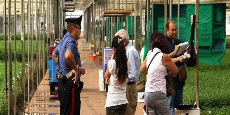 Contrasto al lavoro nero nella Provincia di Siracusa: 75 mila euro di sanzioni e 4 attività sospese