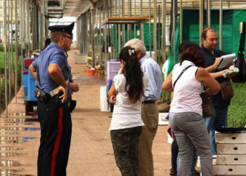 Siracusa. Lavoro nero e violazioni della sicurezza sul lavoro: 5 attività sospese ed 8 imprenditori denunciati