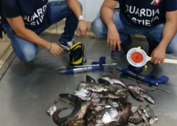 Siracusa, pesca abusiva nel porto grande: 8 mila euro di multa per due sub