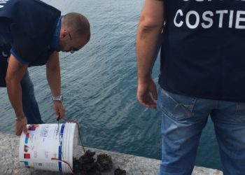 Siracusa. Contrasto alla pesca di frodo: la Guardia Costiera sequestra 10 chili di cozze