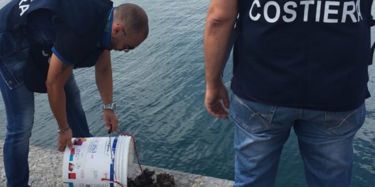 Siracusa. Contrasto alla pesca di frodo: la Guardia Costiera sequestra 10 chili di cozze