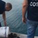 Siracusa. Contrasto alla pesca di frodo: la Guardia Costiera sequestra 10 chili di cozze