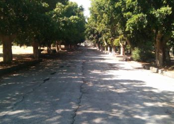 Floridia. Restano chiuse all’interno della Villa Comunale: liberate dai Carabinieri e dal Sindaco