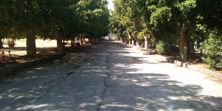 Floridia. Restano chiuse all’interno della Villa Comunale: liberate dai Carabinieri e dal Sindaco