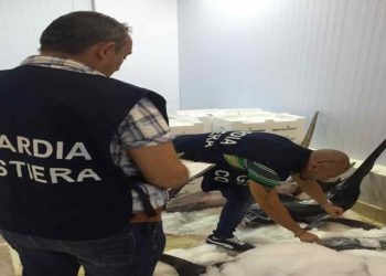 Siracusa. Operazione “Holiday”, sequestrati 15 chili di tonno rosso ed elevate sanzioni per 11 mila euro