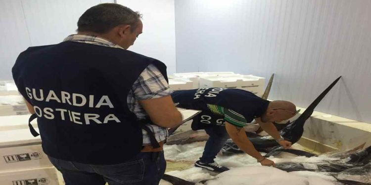 Siracusa. Operazione “Holiday”, sequestrati 15 chili di tonno rosso ed elevate sanzioni per 11 mila euro
