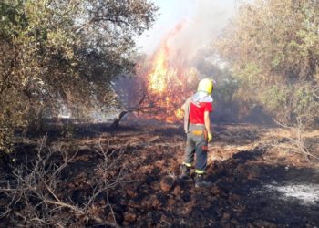 Siracusa. Devastante incendio a Belvedere, parla un volontario: “situazione pericolosa, serve maggiore prevenzione”