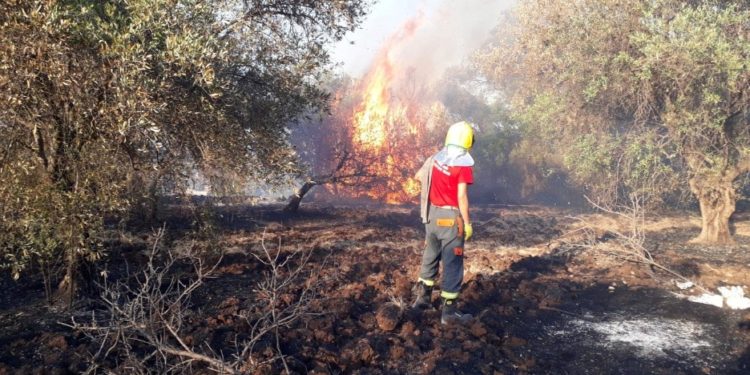 Siracusa. Devastante incendio a Belvedere, parla un volontario: “situazione pericolosa, serve maggiore prevenzione”