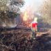 Siracusa. Devastante incendio a Belvedere, parla un volontario: “situazione pericolosa, serve maggiore prevenzione”