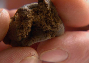 Siracusa. 21enne segnalata all’Autorità Amministrativa per possesso di sostanza stupefacente