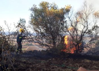 Siracusa. Devastante incendio a Belvedere, parla un volontario: “situazione pericolosa, serve maggiore prevenzione”