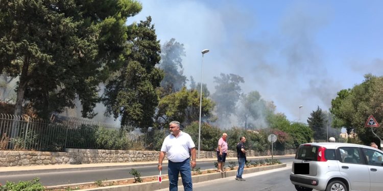 Siracusa. Incendio in viale Paolo Orsi, paura per la zona archeologica: fumo e traffico deviato