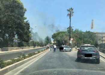 Siracusa. Incendio in viale Paolo Orsi, paura per la zona archeologica: fumo e traffico deviato
