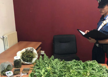 Noto, in casa con 34 piante di cannabis: arrestata una coppia