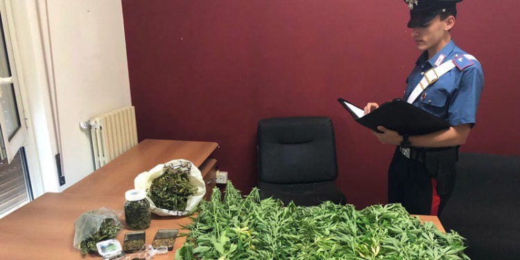 Noto, in casa con 34 piante di cannabis: arrestata una coppia
