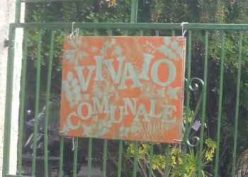 Siracusa, “Luglio nel vivaio” tra intercultura e spettacoli della natura