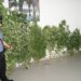 Canicattini Bagni, coltivava piante di marijuana nel giardino di casa: denunciato