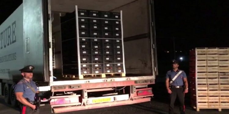 Carlentini. Maxi sequestro di droga, trasportava nel suo autocarro 130 chili di marijuana: arrestato