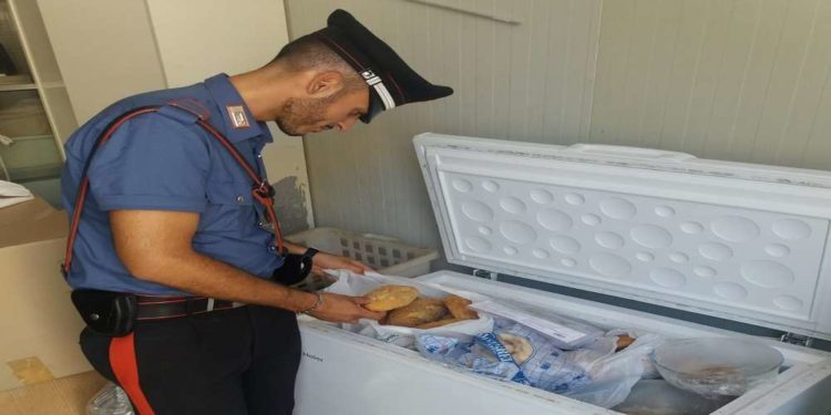 Siracusa. Controlli alla circolazione stradale in Ortigia e alle attività: emesse due sanzioni