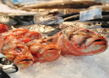 Augusta, sequestrati 35 kg di prodotti ittici non sottoposti al piano di tracciabilità: ambulante segnalato alla Procura