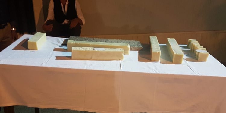 Canicattini Bagni. XXXIII Palio San Michele: sfilate, corse con gli asini e museo sotto le stelle