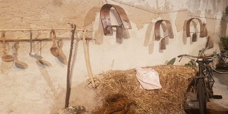 Canicattini Bagni. XXXIII Palio San Michele: sfilate, corse con gli asini e museo sotto le stelle