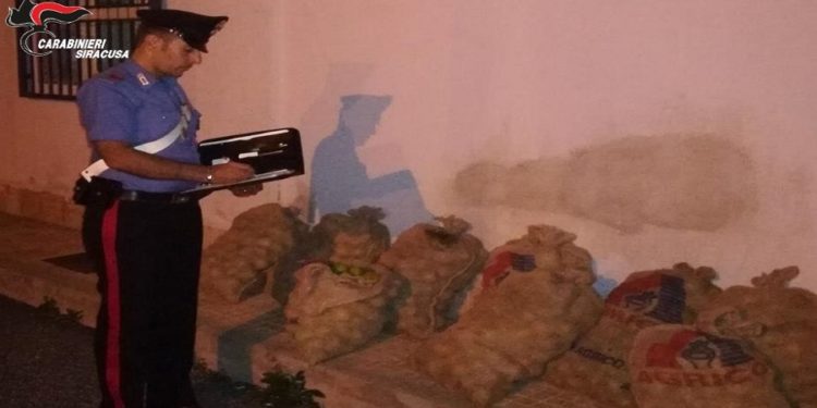 Siracusa. All’interno del baule e dell’abitacolo dell’auto 200 chili di limoni rubati: due arresti