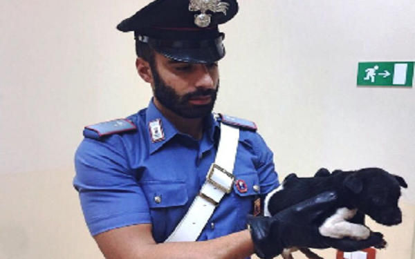 Portopalo, maltrattamento di animali: denunciati due uomini