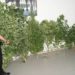 Sortino, piante di marijuana e munizioni in casa: pensionato finisce ai domiciliari