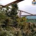 Siracusa. Piante di marijuana e 10 mila euro in contanti nascosti in una scarpa: in manette due fratelli