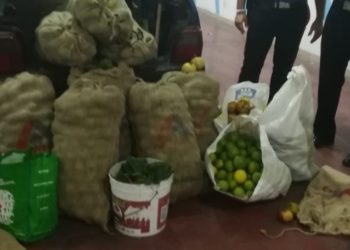 Floridia, maxi furto di agrumi: 2 arresti dei Carabinieri