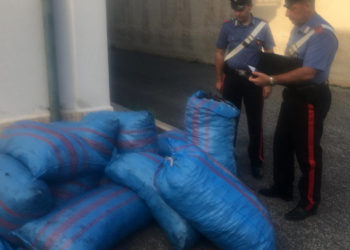 Furto carrube carabinieri