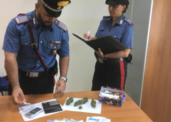 Carlentini, nascondeva marijuana nel suo appartamento: stanato dall’unità cinofila dei Carabinieri