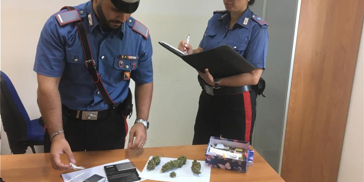 Carlentini, nascondeva marijuana nel suo appartamento: stanato dall’unità cinofila dei Carabinieri