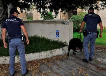 Augusta. “Scuole sicure”, rinvenuto un panetto di hashish tra le aiuole di un liceo