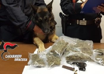 Augusta. Nascondeva dietro il forno 500 grammi di marijuana e una pistola senza matricola