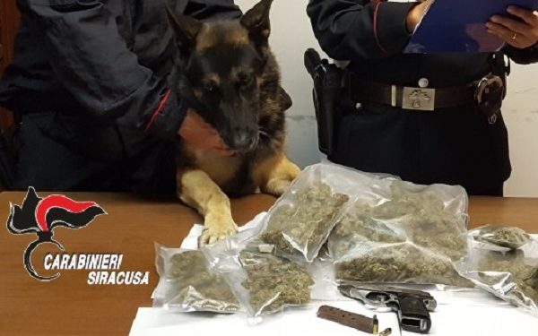 Augusta. Nascondeva dietro il forno 500 grammi di marijuana e una pistola senza matricola