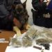 Augusta. Nascondeva dietro il forno 500 grammi di marijuana e una pistola senza matricola