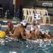 Siracusa. Pallanuoto, domani prima di campionato per l’Ortigia contro la Lazio