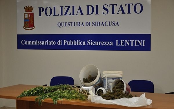 Lentini. Produzione e detenzione di marijuana in casa: arrestato un giovane “pusher”