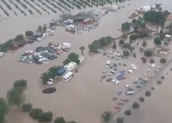 Lentini, agrumicoltori danneggiati dall’alluvione: Sindacati uniti affinché vengano garantite misure di sostegno