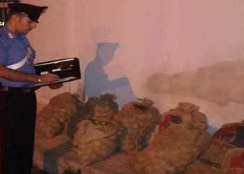 Siracusa, cercano di trafugare 300kg di agrumi da un fondo agricolo: tre arrestati