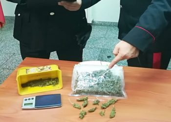 Floridia. Bilancino e 107 grammi di marijuana nel capanno degli attrezzi: arrestato un 46enne
